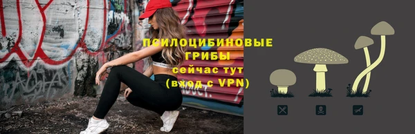 таблы Арсеньев