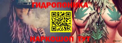 эйфоретик Бердск