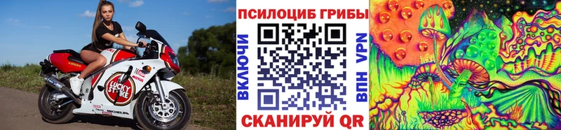 Галлюциногенные грибы Magic Shrooms  Георгиевск 