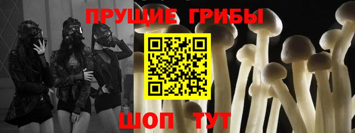 Галлюциногенные грибы GOLDEN TEACHER  Галлюциногенные грибы Psilocybine cubensis  Георгиевск  Вход с VPN 