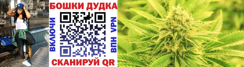 дарнет шоп Георгиевск Бошки марихуана ГИДРОПОН