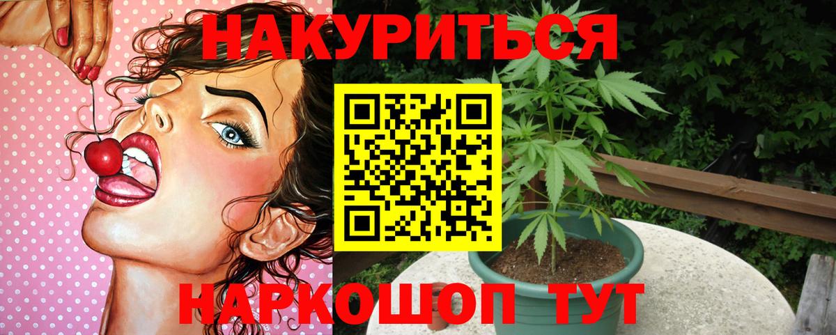 Каннабис ГИДРОПОН  Канабис OG Kush  Вход с VPN  Георгиевск  МАРИХУАНА индика 